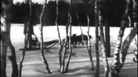 Margin Call Soundtrack     (Wolves - Phosphorescent)