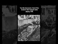 Two kids discovered a Ferrari Dino buried in their backyard while playing, 1978.