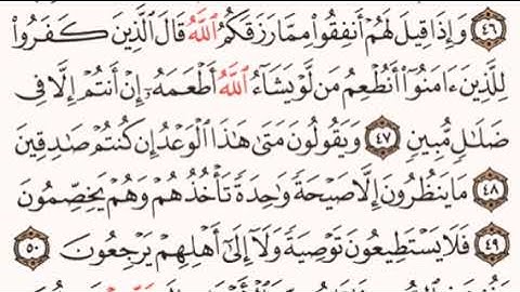 الصفحة رقم 443 الشيخ ماهر المعيقلي - القرآن الكريم - Quran