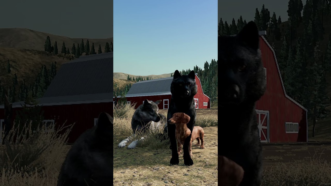Making friends with the most hated dog in Wolf Quest, What's wrong with this picture? Lost River DLC