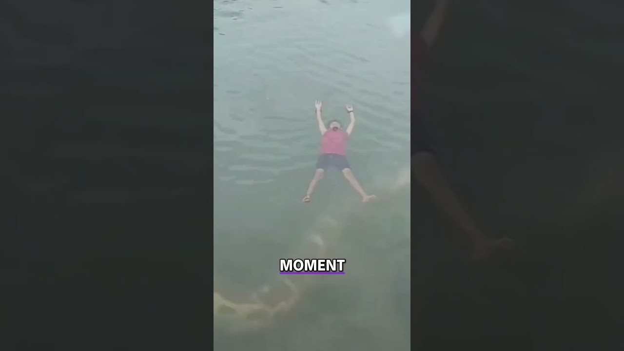 Giant Anaconda or Titanoboa?! River Snake Caught on Camera!