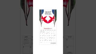 Live with Intention | 2027 Mini Wall Calendar | Artwork of Renee Locks