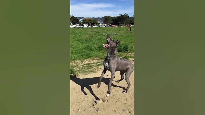 It's a bird... It's a plane...
