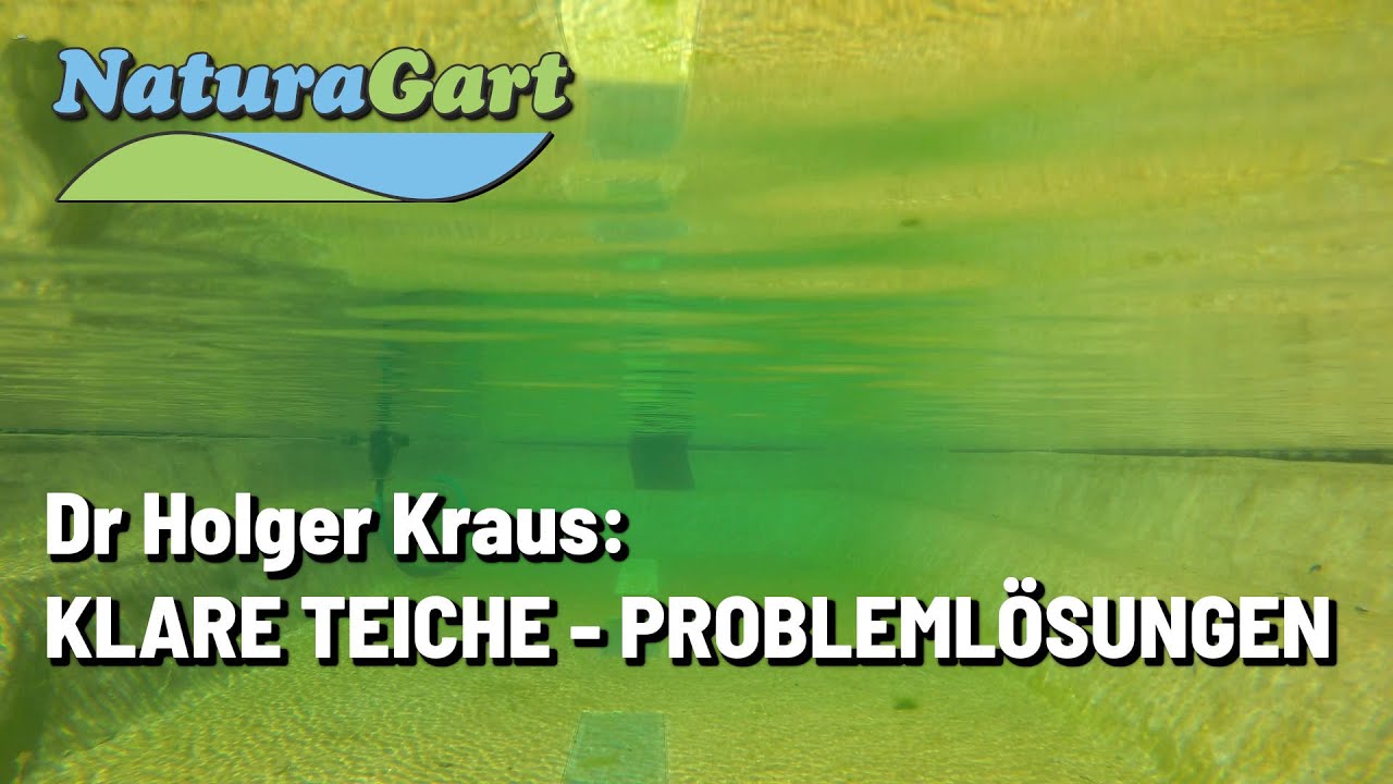 Die Voraussetzung für klare Teiche Referat von Dr. Holger Kraus YouTube