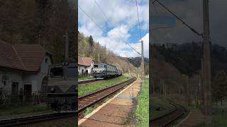 Oprirea trenului Regio Călători în Halta Timișul de Jos! #train #railwaycontent #locomotive #fypシ