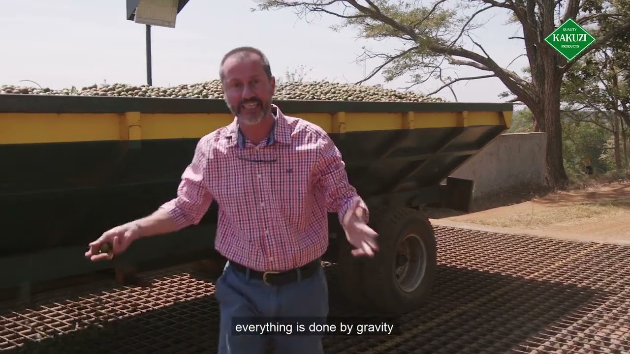 Inside Kakuzi: What Sustainable Agriculture Means to Us, Composting Macadamia Husks🌱♻️"