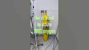 Make sure to check the air tanks on your anesthesia machine