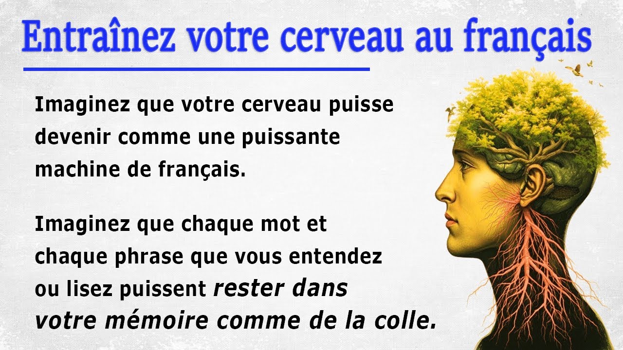 Как тренировать мозг для французского || История для начинающих (A1–A2)