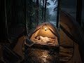 Rain Falling on Tent All Night 🌧️ Perfect Sleep Sounds