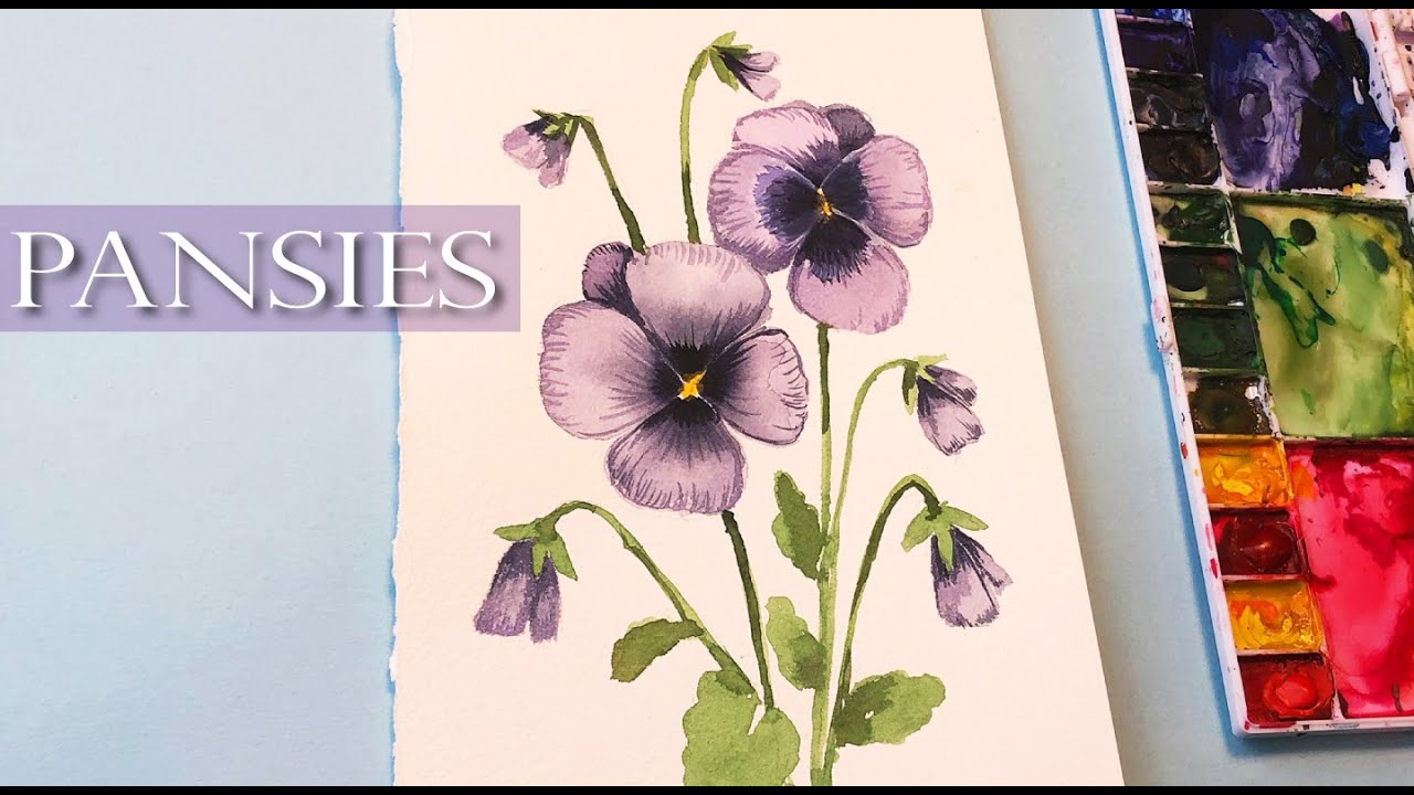 Easy Watercolor Pansies for Beginners/ Floral Friday/ watercolor