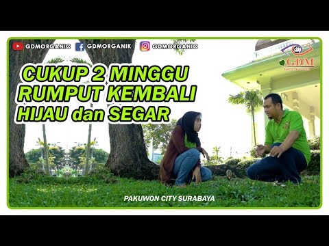 Video: Tips Perawatan Rumput Musim Semi: Hidupkan Kembali Halaman Anda