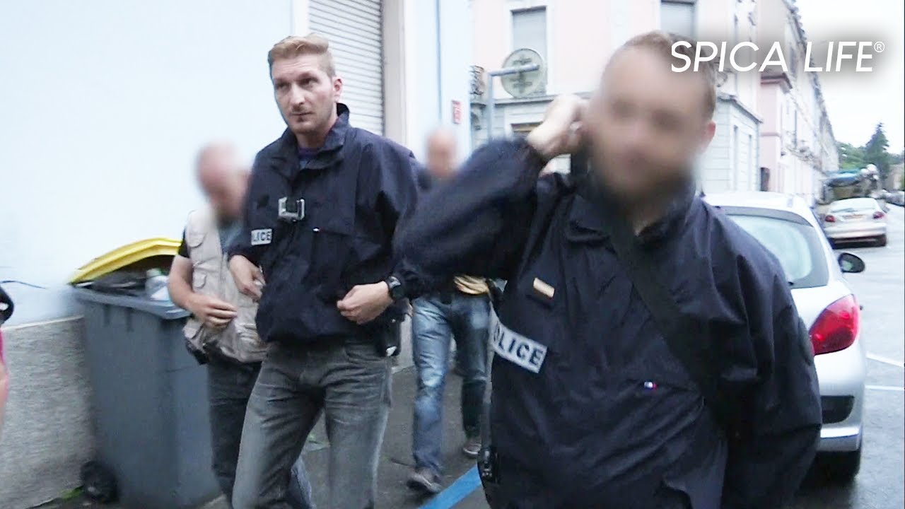 Police aux frontières : face au banditisme de l'Est