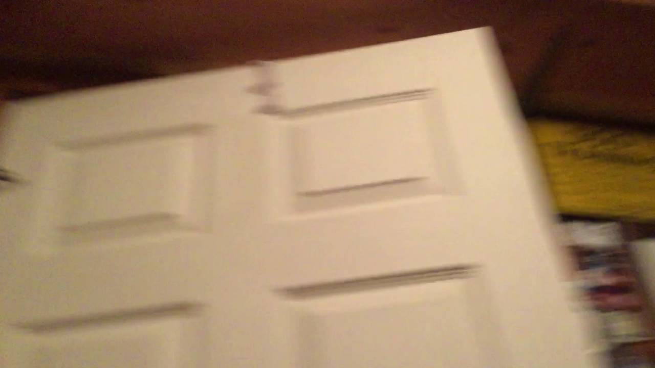 Where did the animals come from? - YouTube