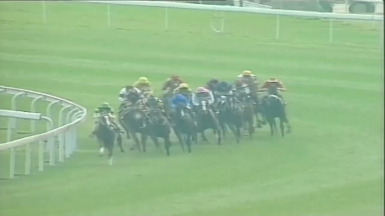 maxresdefault.jpg?sqp=-