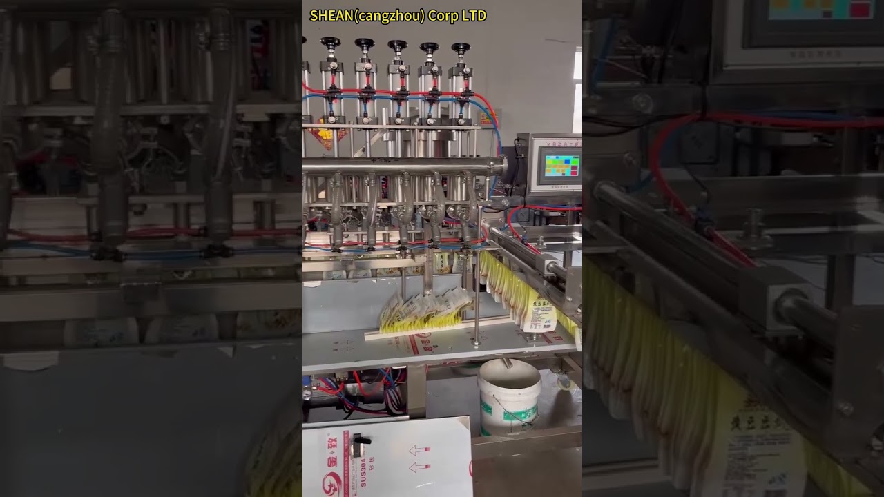 6 heads stand up bags filling/capping machine