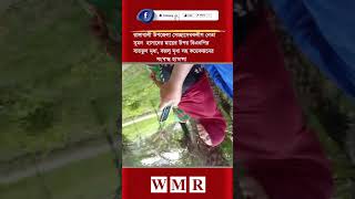 রাঙ্গাবালী উপজেলা সেচ্ছাসেবকলীগ নেতা সুমন  হাসানের মায়ের উপর বিএনপির বায়তুল মৃধা, বজলু মৃধা সহ কয়েক