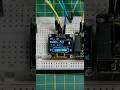 I Built a Crypto Price Tracker With ESP32 + OLED in 30 Seconds #shorts