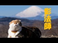 影法師【カバー注意】/堀内孝雄/1993年はぐれ刑事純情派主題歌/【カバー】日高日高