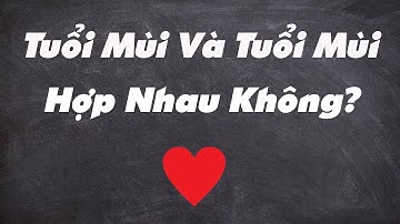 🔥(Cực Chuẩn) Tuổi Mùi Và Tuổi Mùi Có Hợp Nhau Không?|Xem Tuổi Vợ Chồng Chuấn Nhất| Tử Vi 365
