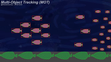 Multi-object tracking (MOT)