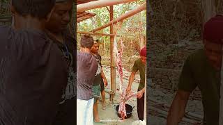 Qurban Masjid Miftakhul Khoir Semampir