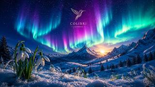 Morning Across the Stars — Hummingbird Journey | Cinematic Ambient Music