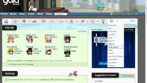 GaiaOnline ~ Profile Layout