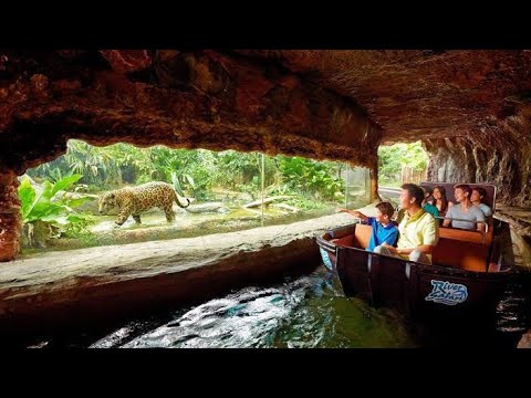 Singapore River Safari Amazon River Quest | Singapore Zoo | 2018 - YouTube