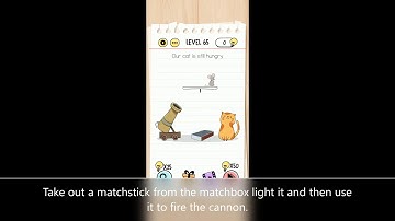 Brain Test Level 65 our cat is still hungry