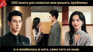 : CEO      ,     ,    .