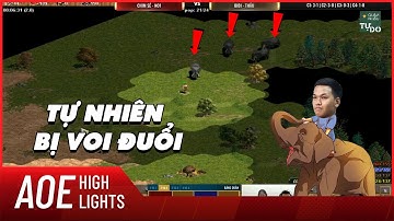 AOE Highlight | Siêu phẩm câu 4 voi bằng nông dân YA của Chim Sẻ Đi Nắng