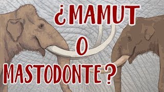 ¿Mamut o mastodonte?  Y cuál es la diferencia