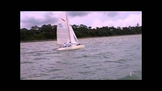 Shearwater Netley 2010.wmv