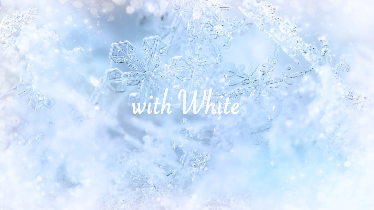 with White - L.B.バービーズ (Official Lyric Video)【ウィンターソング/冬うた/J-POP】