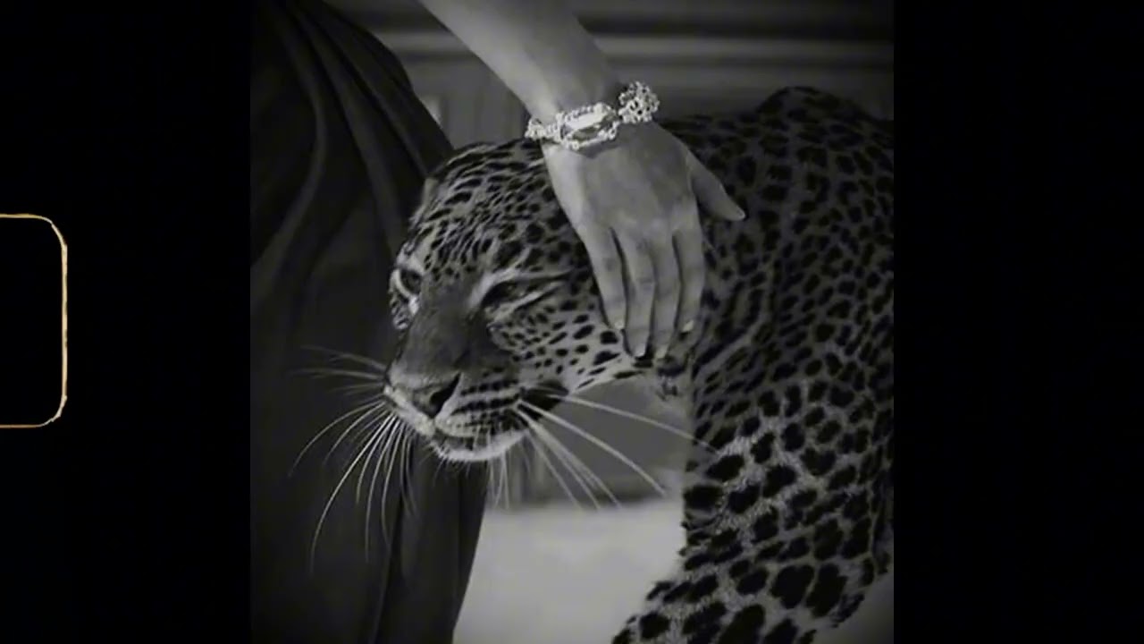 Dark Boom Bap Type Beat - 