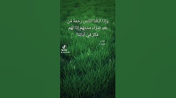 من سورة يونس القارئ أنس المالك #quran