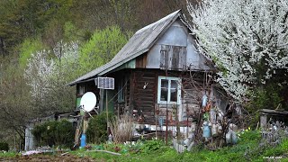 Життя на дачі. Частина 3.