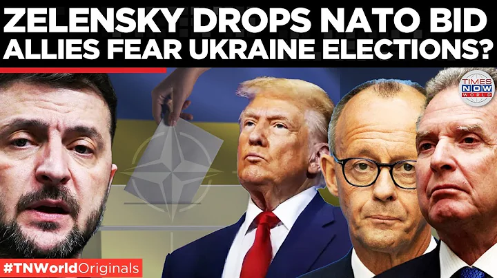 UKRAINE ELECTIONS GAMBLE: Why Zelensky Allies Step Back As War Risks, Peace Talks Loom Stakes Now!