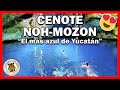 Cenote NOH MOZÓN ⭐ el MÁS AZUL de YUCATAN - Ruta de Cenotes en Yucatan