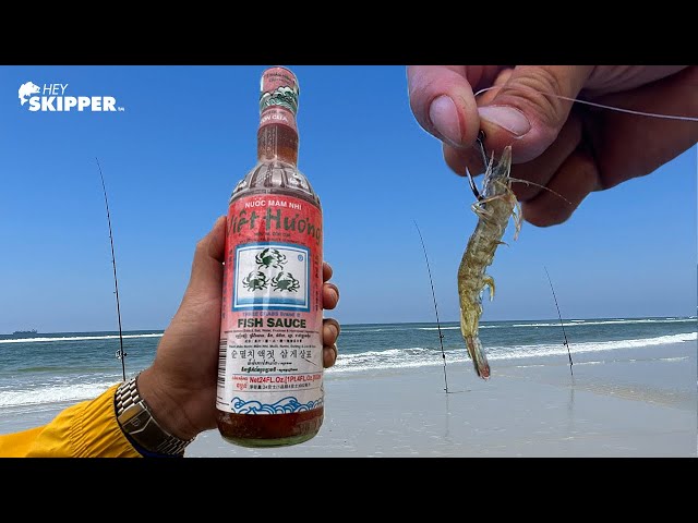 SECRET Beach Fishing Bait? Asian Fish Sauce Soaked Shrimp (Nuòc Mam) 