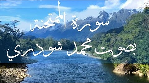 سورة الممتحنة - بصوت محمد شودري. تلاوة هادئة تريح الأعصاب