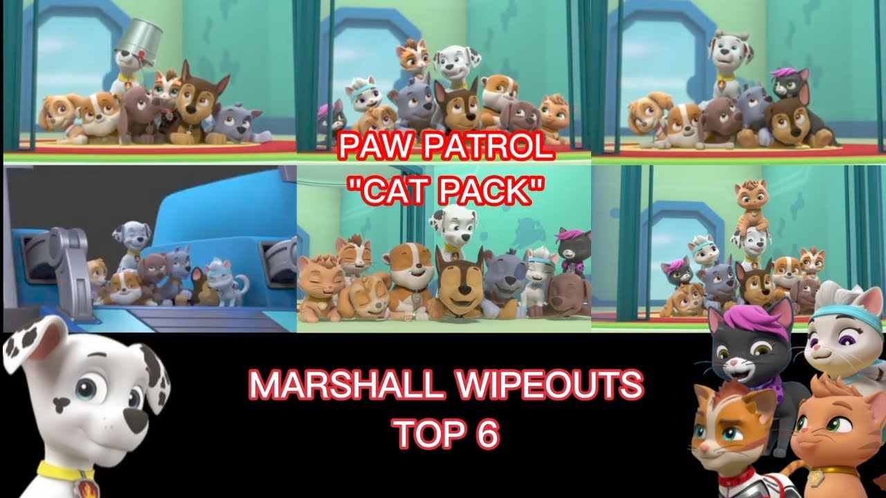 PAW Patrol: Cat Pack - Marshall Wipeouts Top 6 (Next Clip)