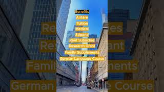 Daad Helmut Schmidt Programme Fully Funded Scholarships Scholarships In Germany