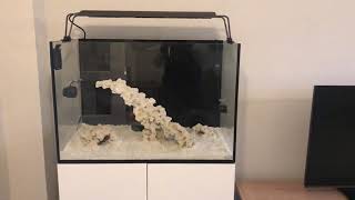 Ep1: Brand New Salt Water Tank- Sump and Equipment - EA Reef Pro 900