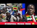 Bad News To VP Chiwenga : Pashata Manje 😳