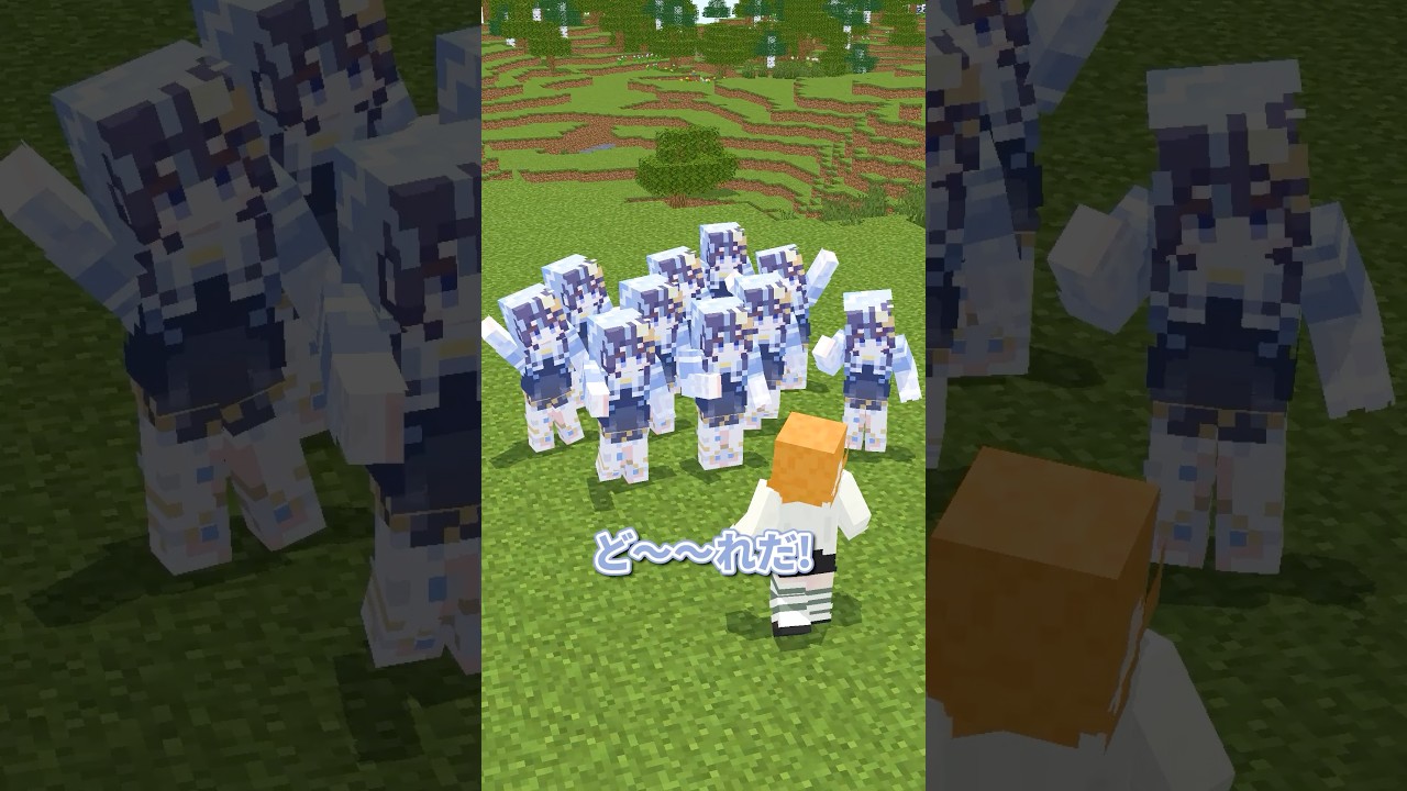 本物のゆらぎはどれだ!? #minecraft