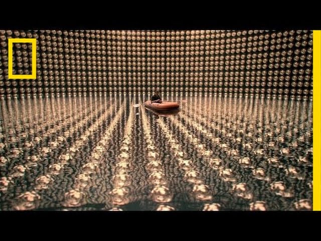 Stalking the Wild Nutrino | Cosmos: A Spacetime Odyssey
