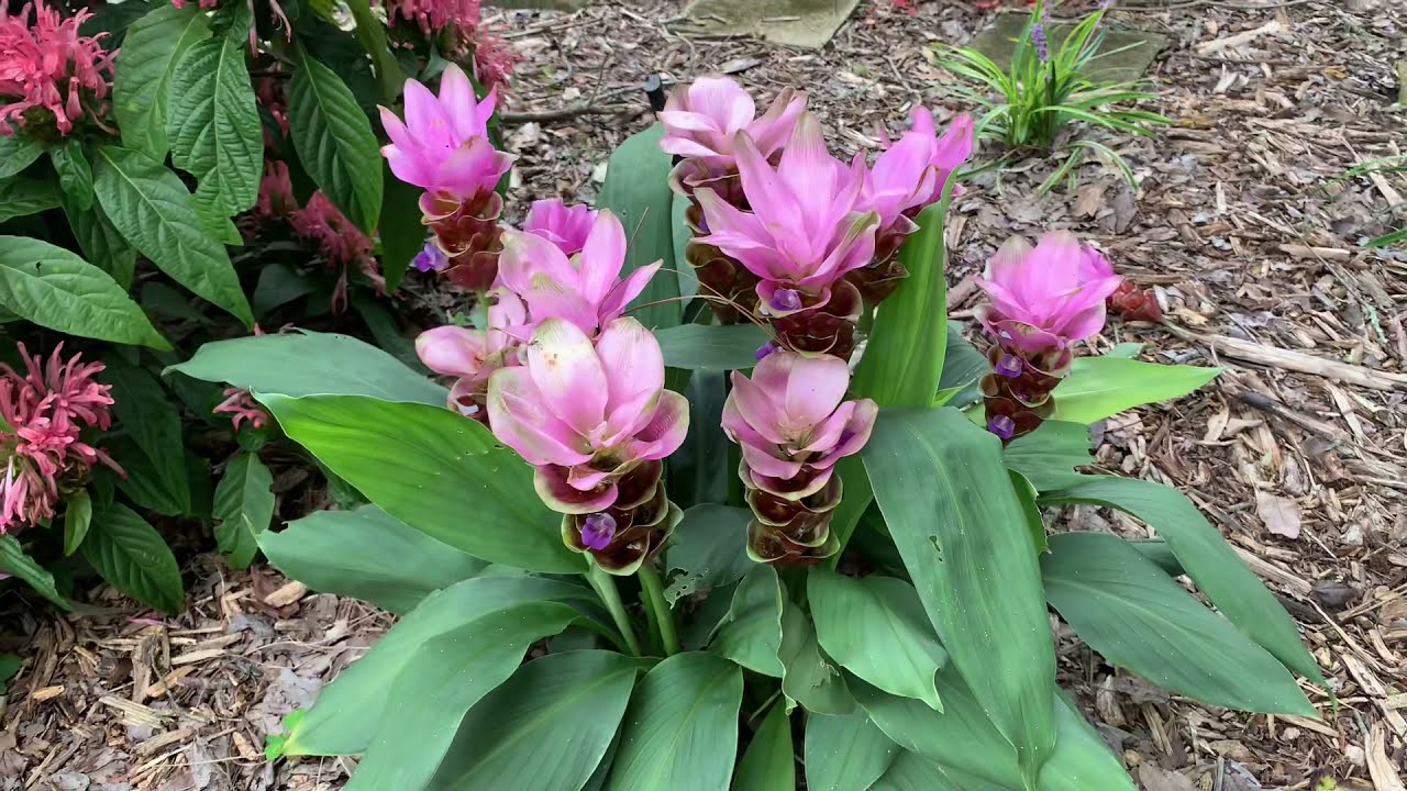 Repetition and Layers Create Dynamic Landscapes for Humans and Wildlife