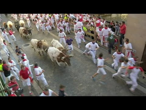 Video: Hvad hedder tyrefægtning?