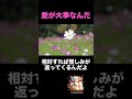 #斎藤一人 愛が大事な理由